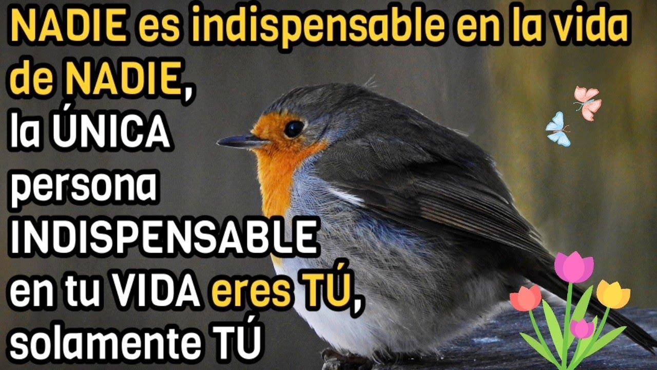 La importancia de recordar que nadie es indispensable en esta vida