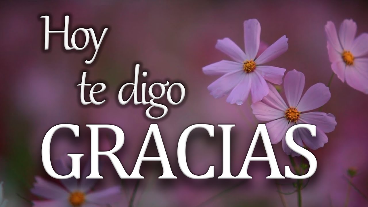 Amiga gracias por todo: un mensaje de amor y gratitud