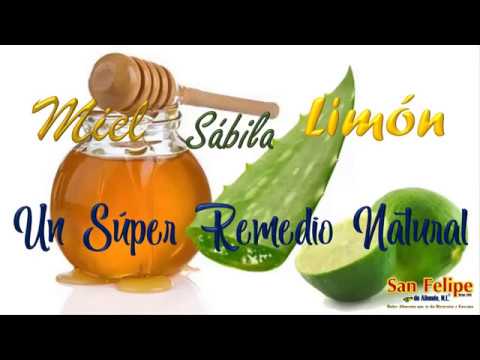 Descubre los beneficios de la sábila con miel de abeja