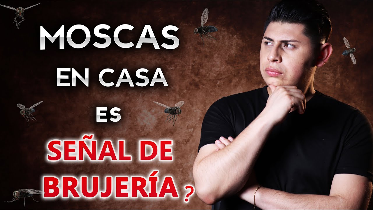 Desvelando el misterio de las moscas verdes en tu hogar