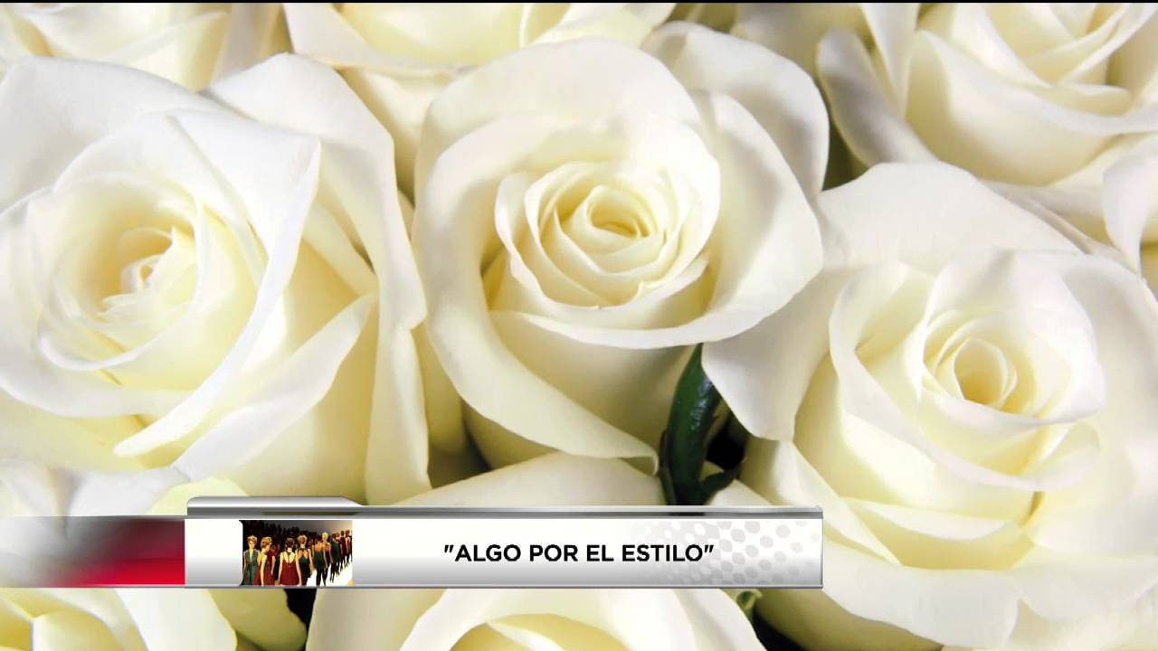 Las flores más hermosas para regalar a tu hija