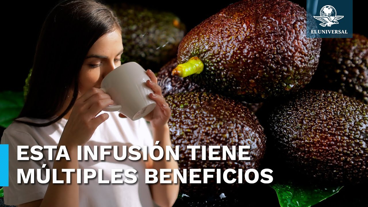 Té de hoja de aguacate: descubre sus propiedades y usos