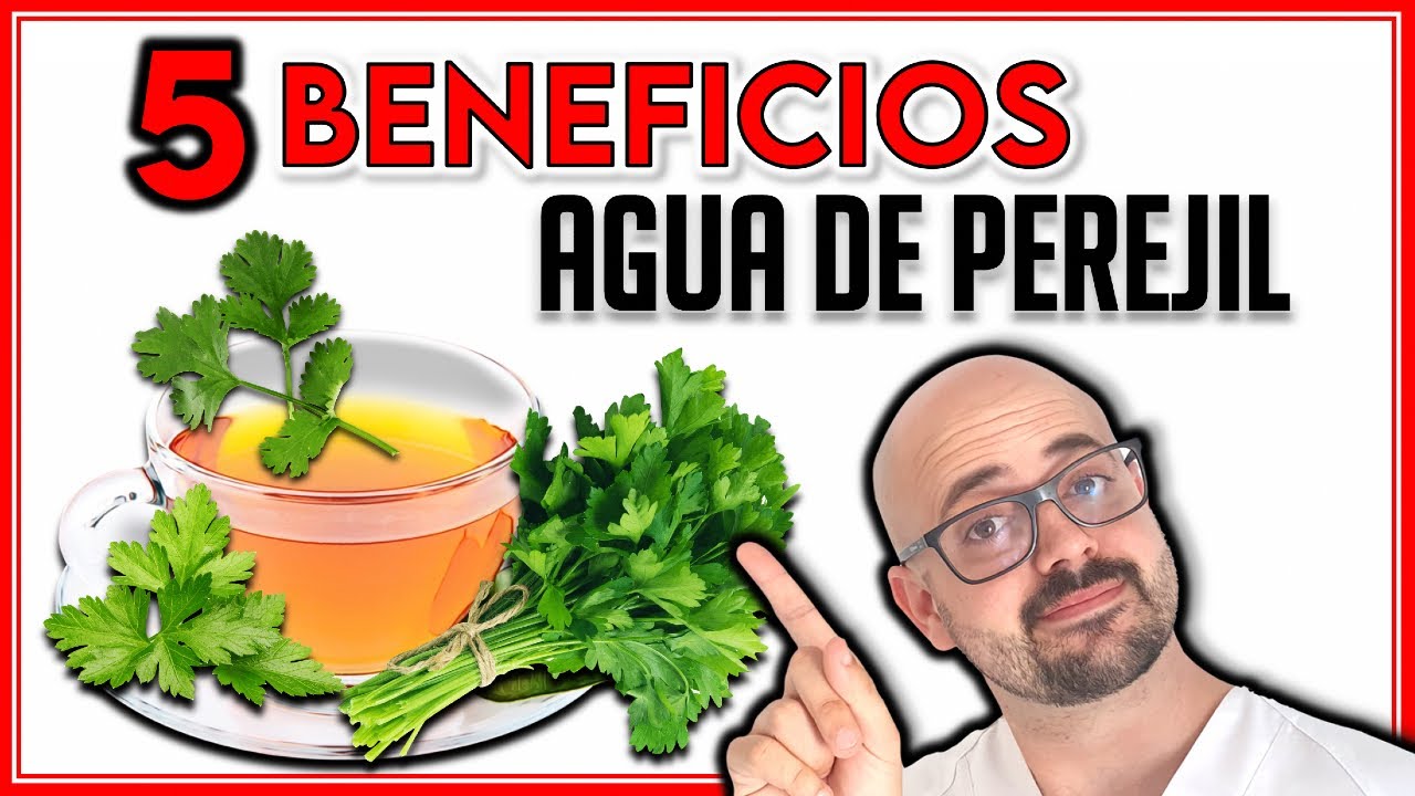Cómo preparar correctamente el té de perejil y aprovechar sus beneficios