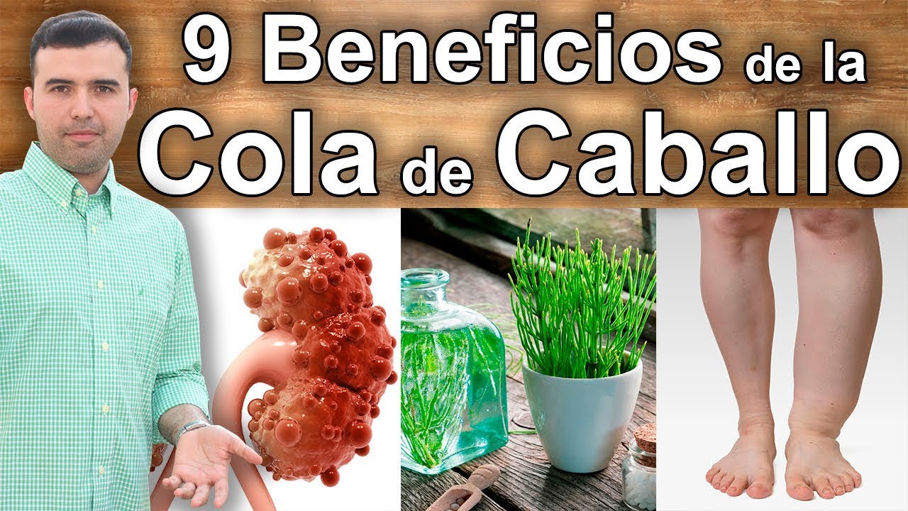 Descubre los increíbles beneficios de la cola de caballo con canela