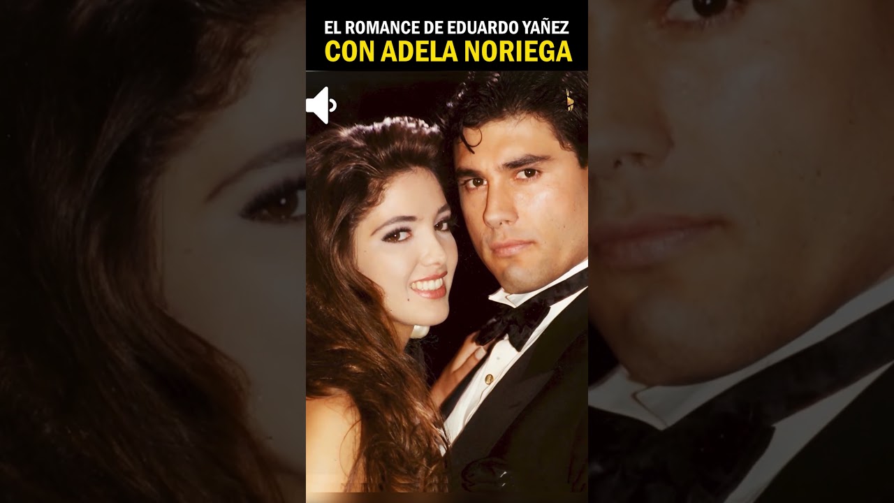 Detalles sobre la novela de Adela Noriega y Eduardo Yañez
