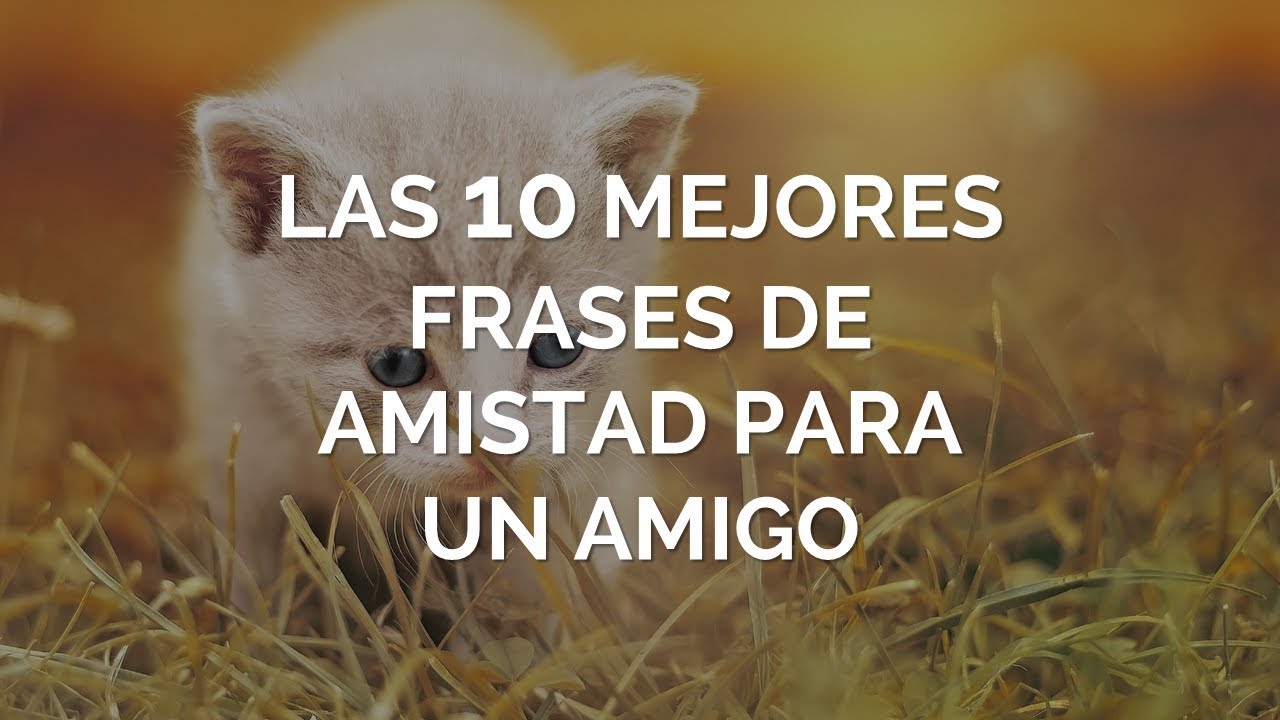 Frases cortas para grupos de amigos