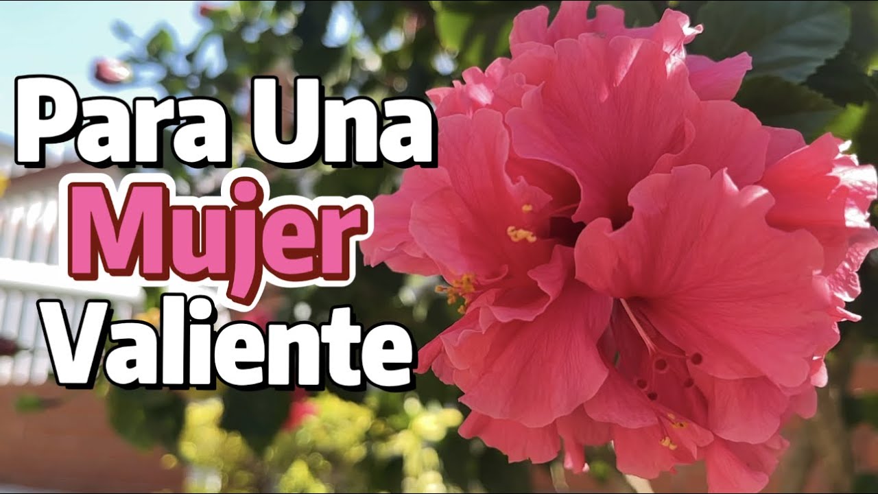 Palabras de aliento para mujeres luchadoras y valientes
