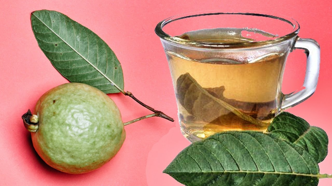Té de hojas de guayaba: Tu solución natural para desinflamar