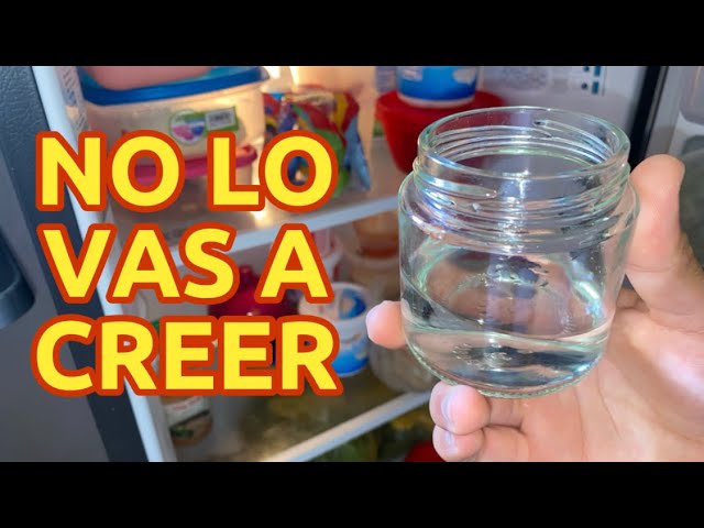 Tips infalibles para eliminar el mal olor del refrigerador