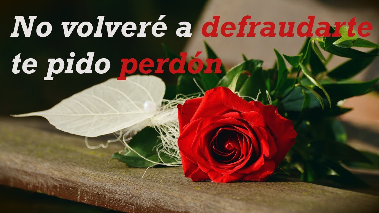 Una carta de disculpa para reconquistar a tu novia