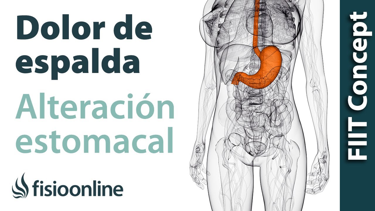hinchazon abdominal y dolor de espalda