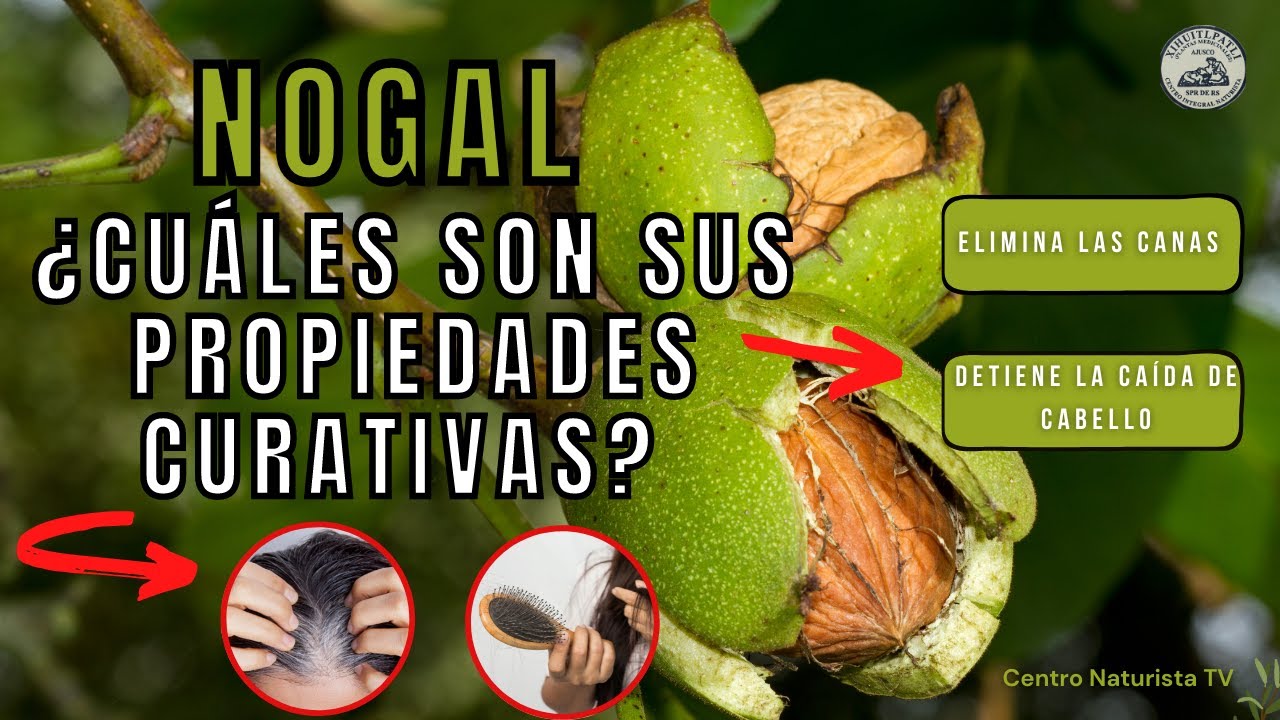Beneficios de usar hojas de nogal en el pelo