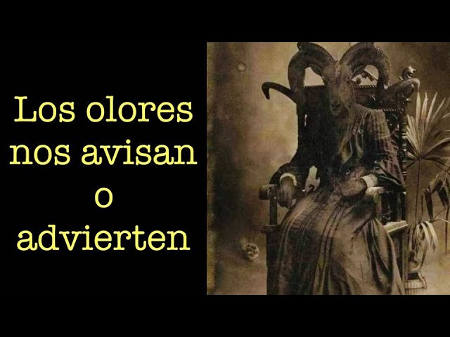 Cuando él te dice que hueles bien: qué significa y cómo interpretarlo