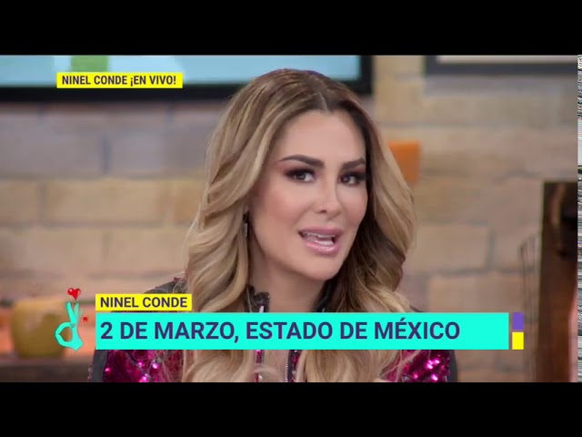 Descubre la glamorosa línea de ropa de Ninel Conde