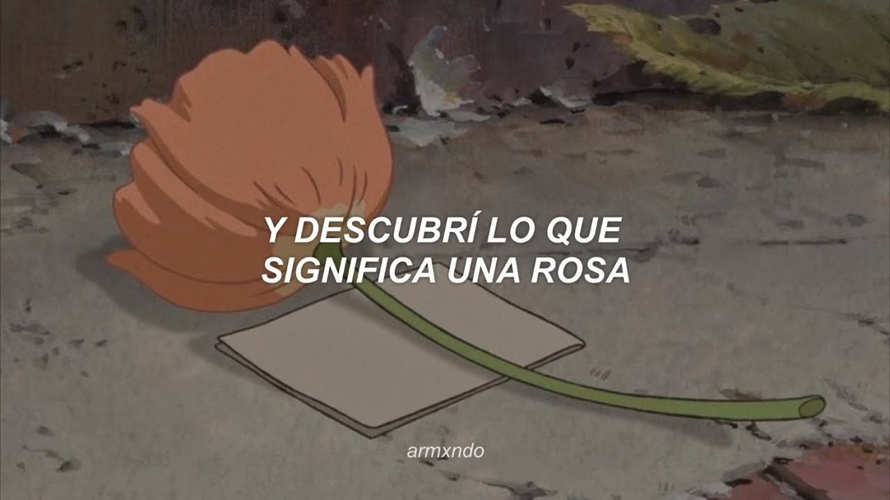 Descubre los motivos por los que te amo