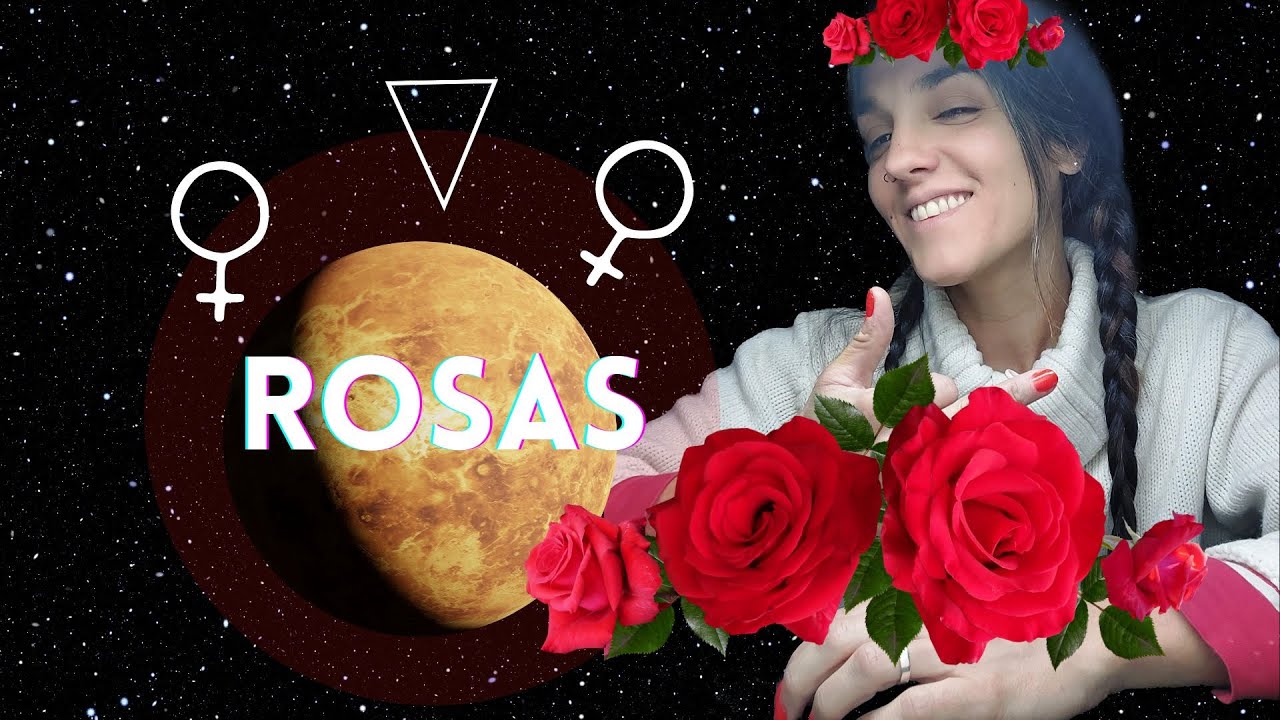 Descubre los usos sorprendentes de los pétalos de rosa