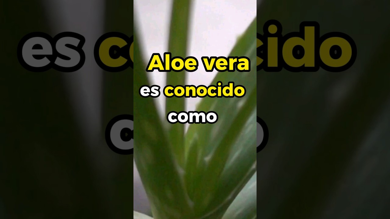 Usos sorprendentes del aloe vera para las encías
