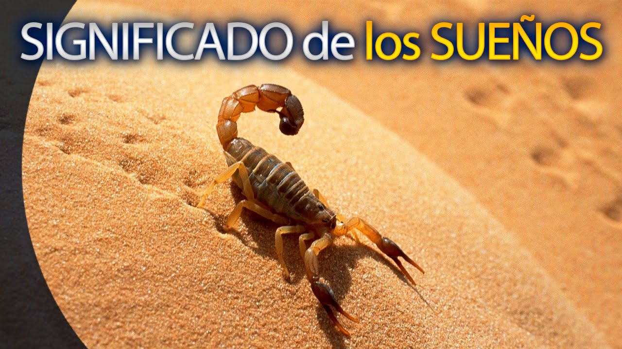 Descubre qué significa soñar con ser picado por un alacrán