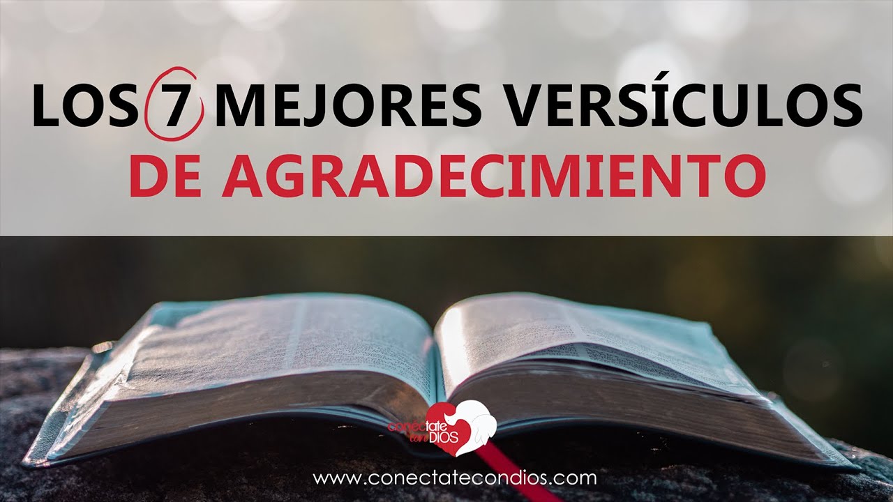 Palabras de gratitud a Dios por el regalo de mi hijo