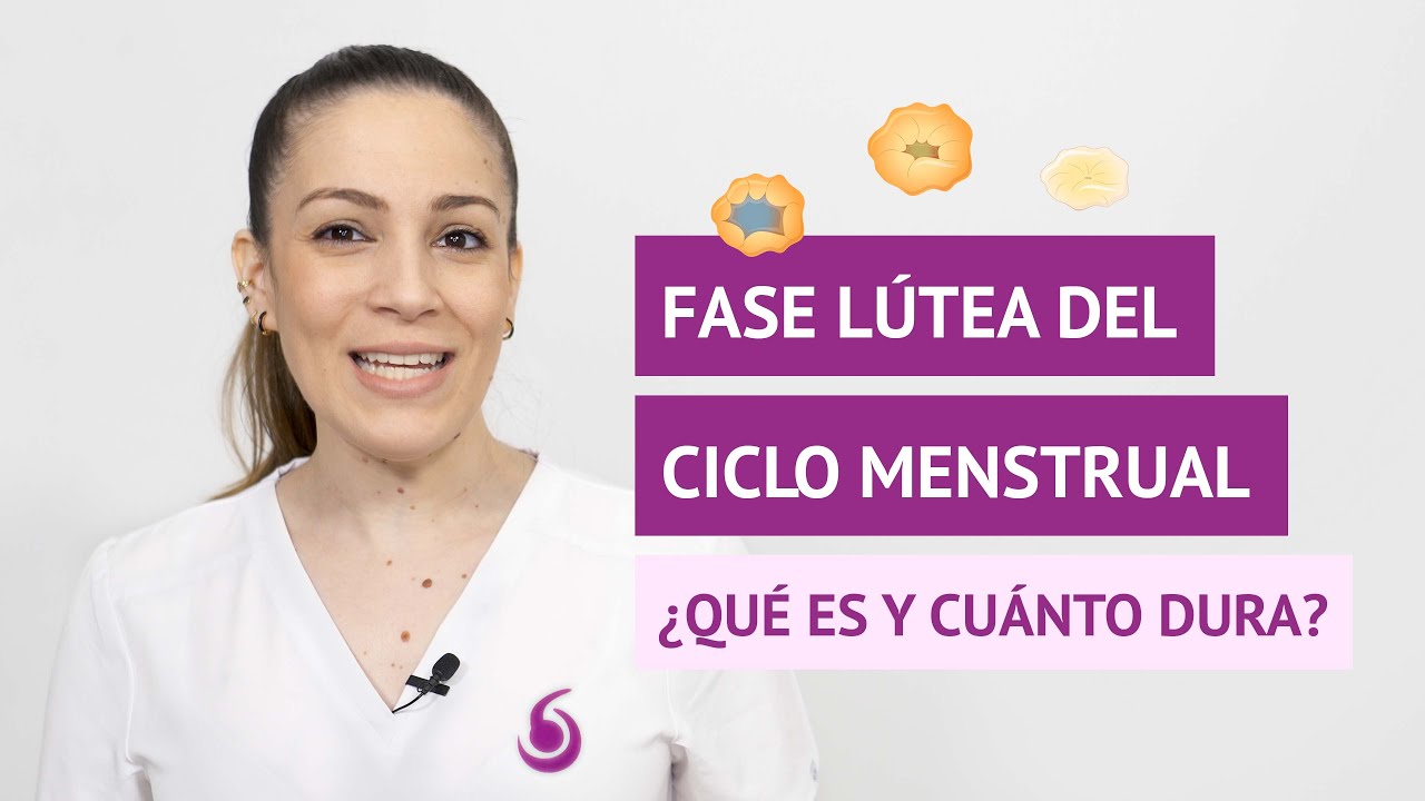 que es la fase lutea en la mujer