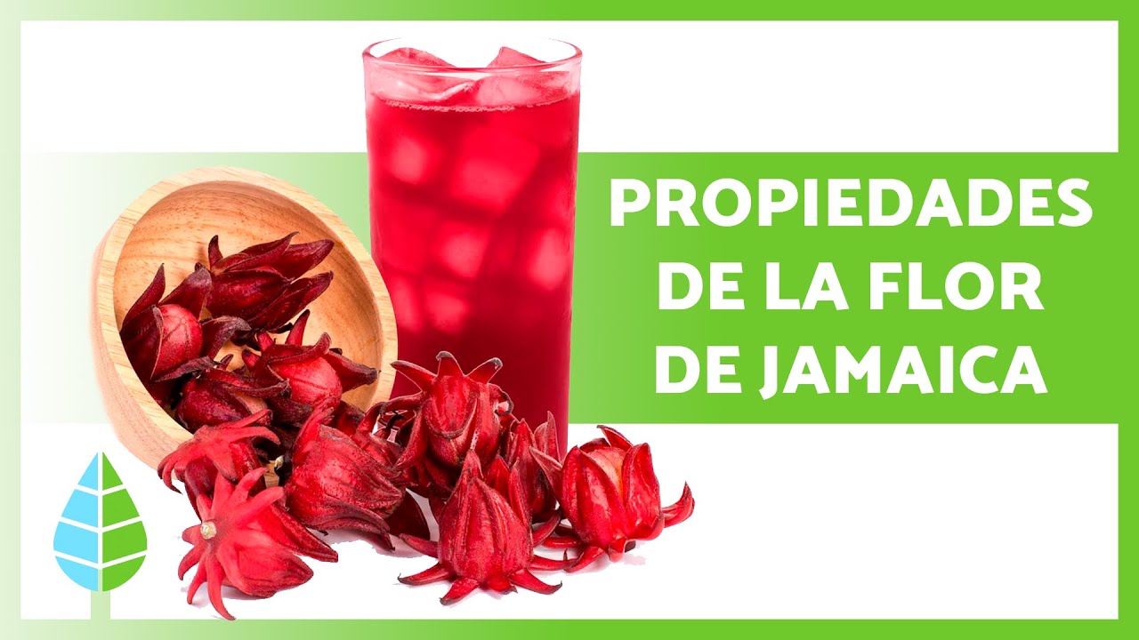 Beneficios del agua de jamaica para la salud
