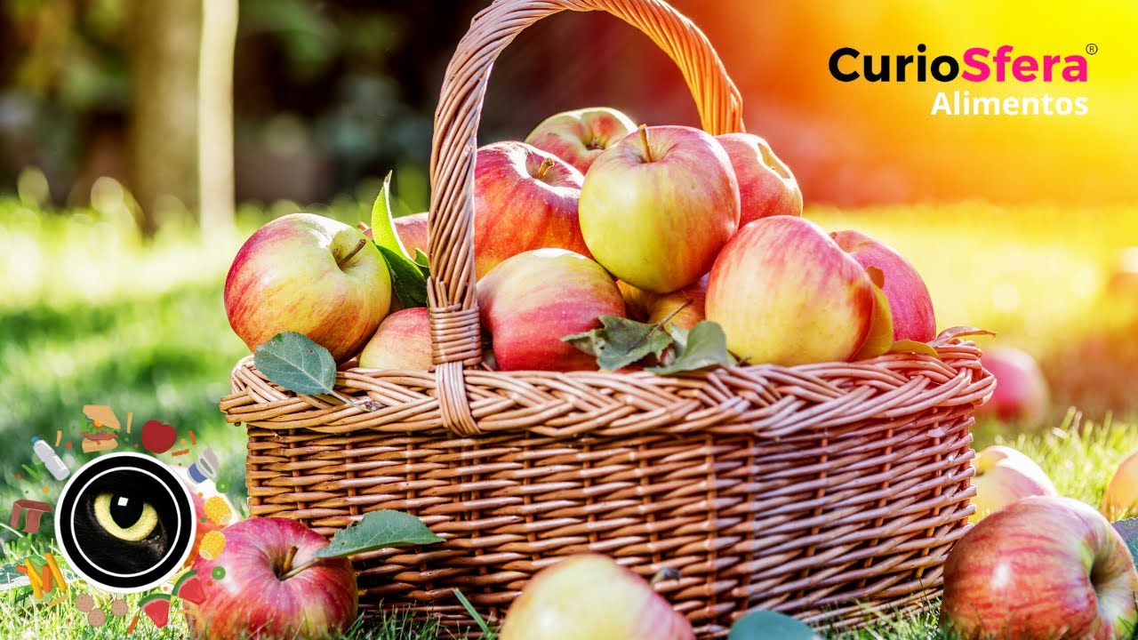 Cuántas calorías aporta una manzana verde pequeña