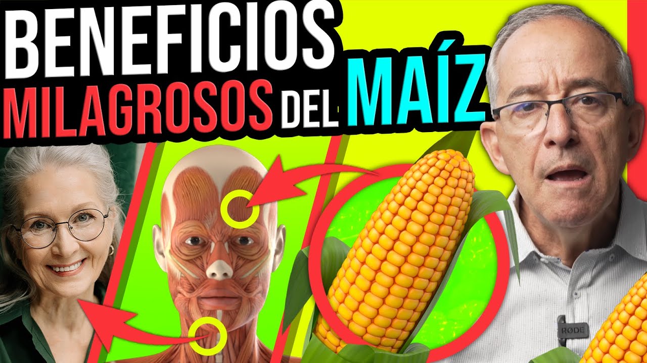 Descubre los beneficios del elote