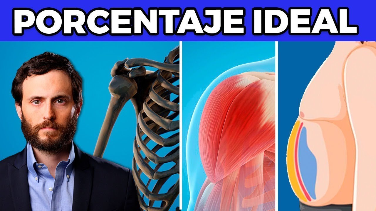 calculador de indice de grasa corporal