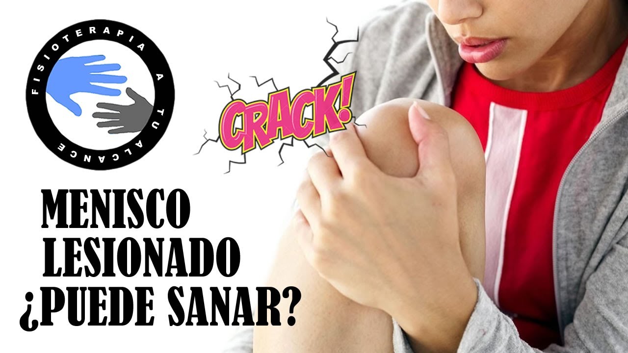 se puede regenerar un menisco roto