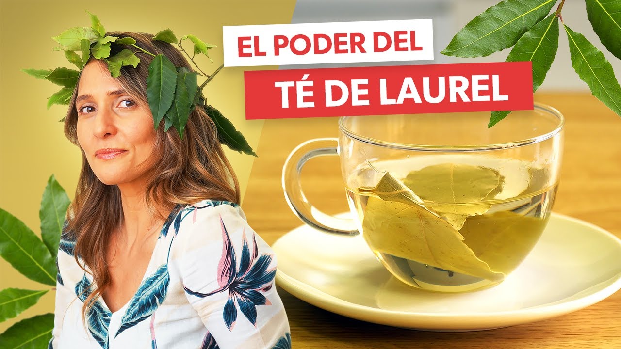Preparando té de laurel: receta y beneficios